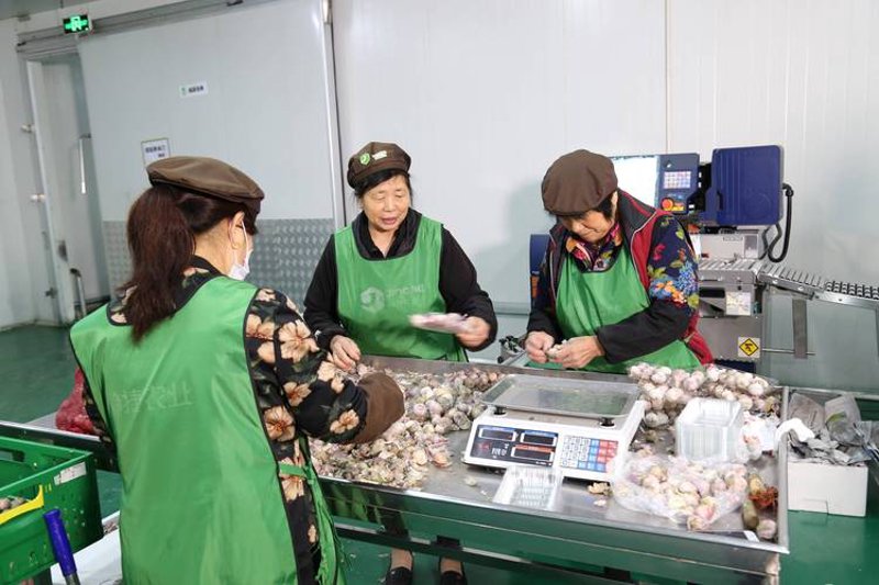 精选甜品食材，让美味从指尖触手可及